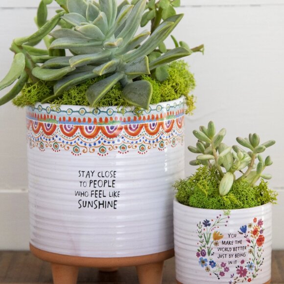 NATURAL LIFE: PLANT HOLDER - Picture 3 of 16